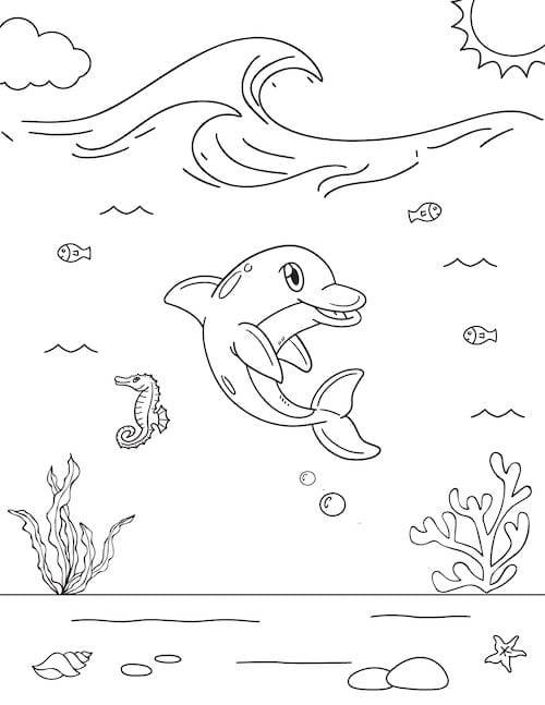 dolphin under the water with fish