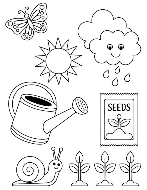 Garden elements coloring page with sun, rain, seeds, and snail