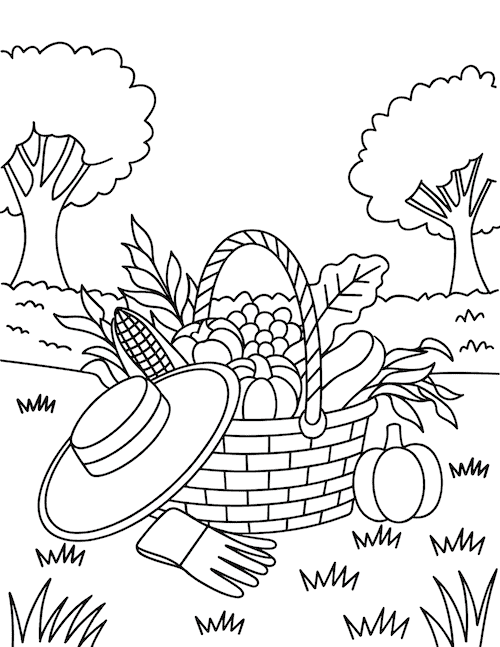 Garden harvest basket