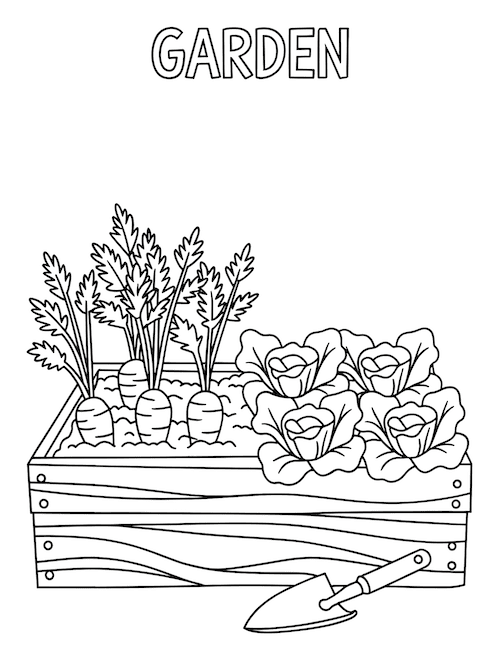 planter box coloring page with carrots and lettuce plants